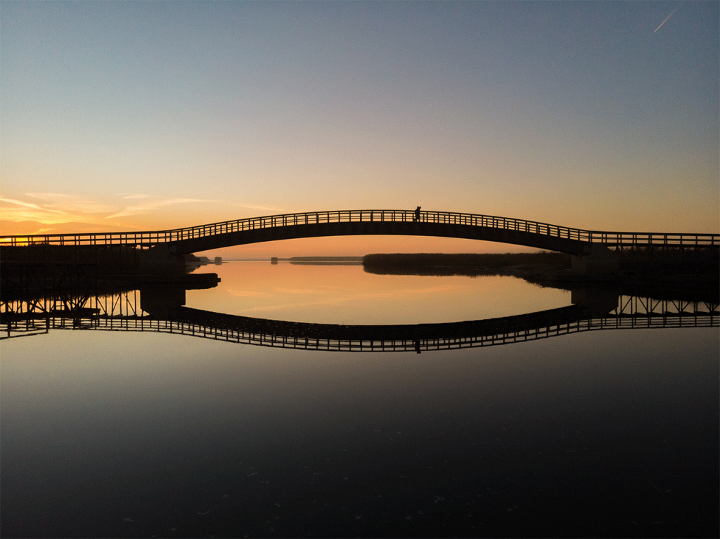 Explore the region - Esmoriz