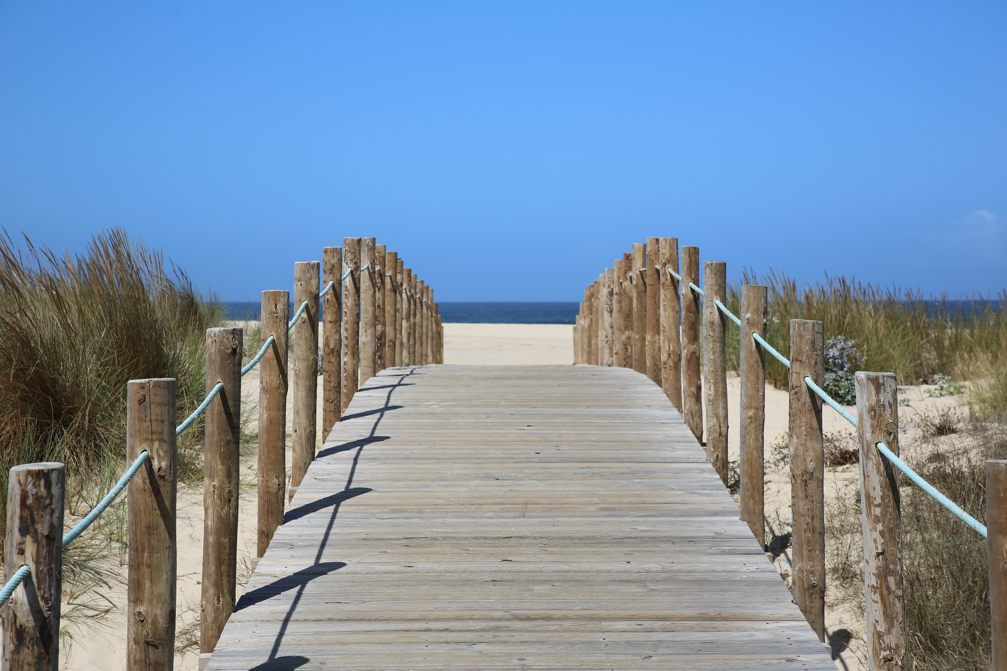 Explore the region - Esmoriz 04